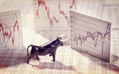 bulls in forex